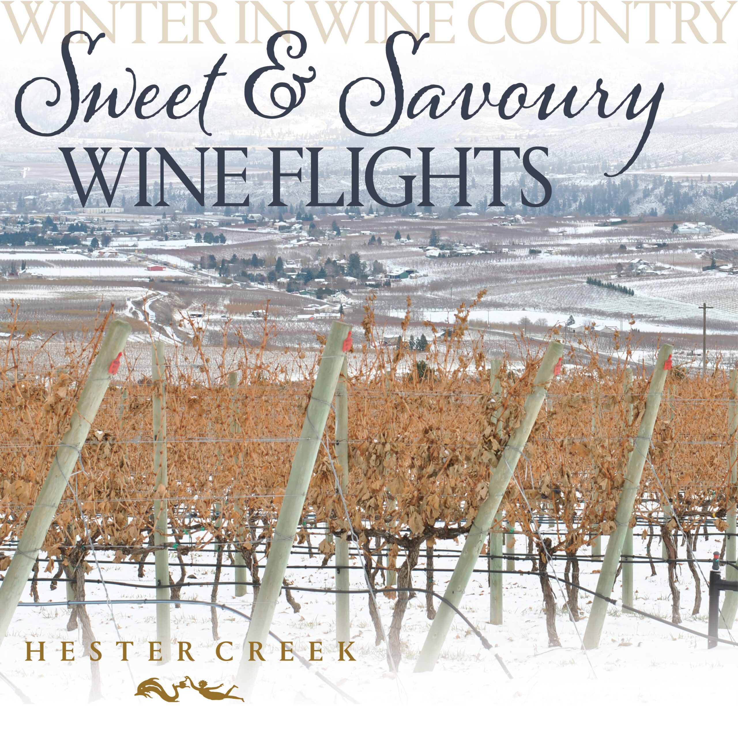 SM Sweet and Savory scaled: Winter in Wine Country at Hester Creek